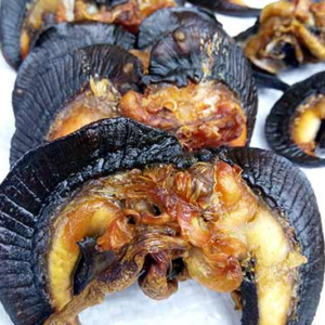 Rich Seeds Dried Snails 10 PCS